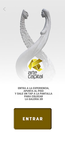 Arte Capital Screen 3