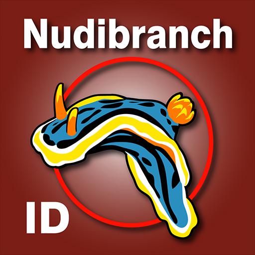 Nudibranch ID IndOcean RedSea Descarga en Windows