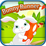 Bunny Runner icon
