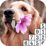 Dogs: Pixel Paint By Number icon