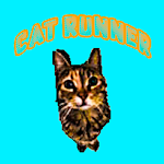 Cover Image of ダウンロード Sweety Cat Runner 0.2 APK