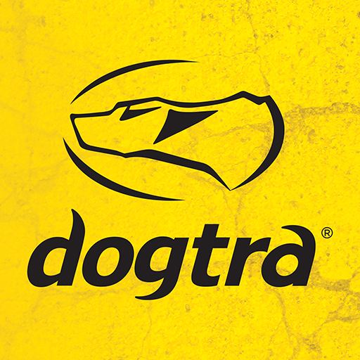 dogtra app