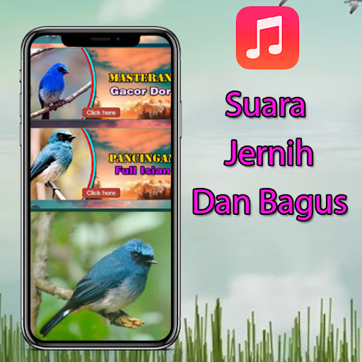 Masteran Selendang Biru Gacor Screen 2