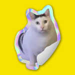 Caticker: Cat Meme Stickers
