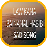 Law Kaana Bainanal Habib - Sholawat Sedih icon