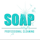 Soap Professional Cleaning Scarica su Windows