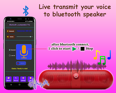 Bluetooth Loudspeaker Pro