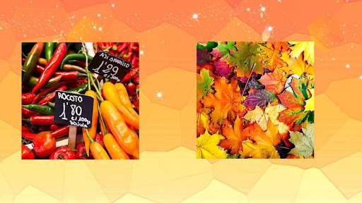 Jigsaw Puzzle Game Screen 3