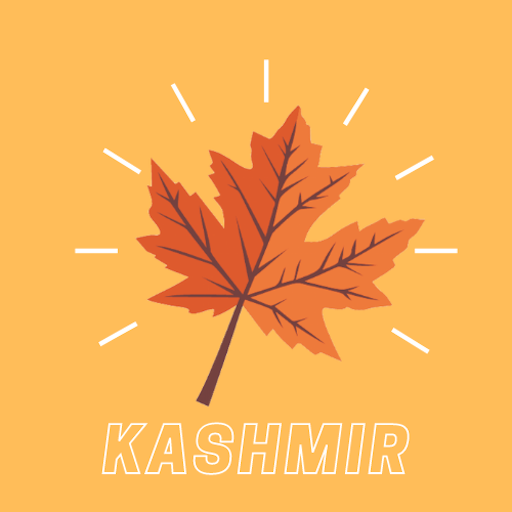 Kashmir News Download on Windows