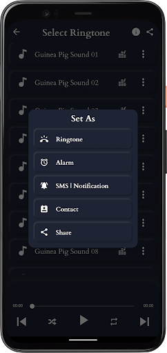 Guinea Pig Sounds Screen 3