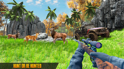 Animal Hunting 3D Games 2024 screenshot 0