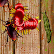 Centipede against bugs