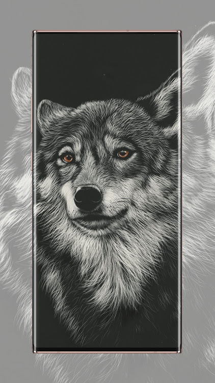 wolf wallpaper - 3.0 - (Android)