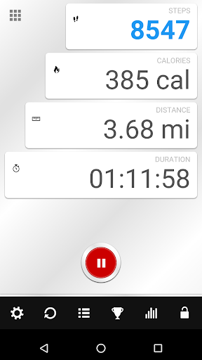 Screenshot of Step Counter
