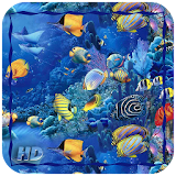 Aquarium HD Wallpaper icon