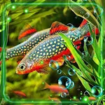 Cover Image of Download Fish Aquarium Live Wallpaper  APK