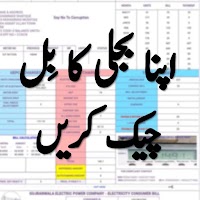 Check Electricity Bill Online Pakistan