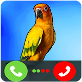 Call Logan Paul's bird Maverick Prank icon