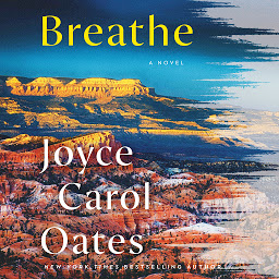 Icon image Breathe: A Novel