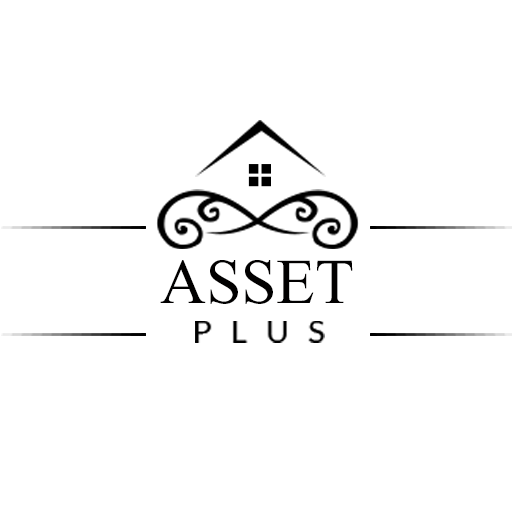 Asset Plus 1.1 Icon