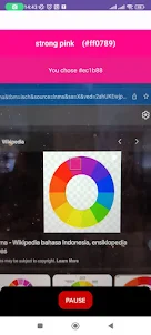 Color Namer Detector