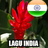 Koleksi Lagu India icon