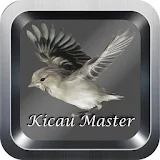 KICAU BURUNG MASTER icon