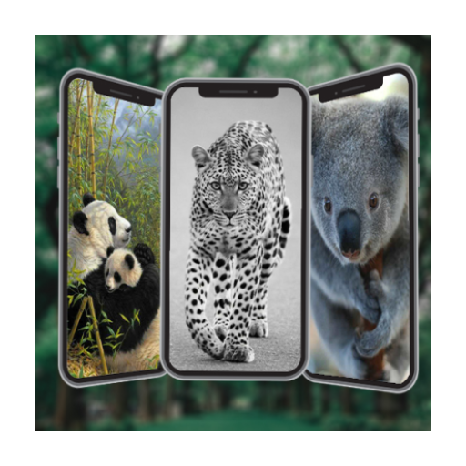 Animal Wallpapers in4K,HD logo