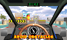 screenshot of Car Stunt Racing simulator