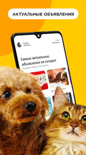 Android application Petmode. Доска объявлений screenshort