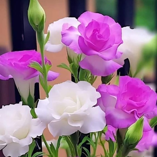 Flores hermosas. Imágenes