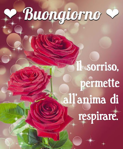 Buongiorno, buona sera e buona notte 2020