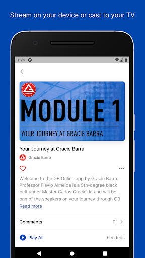 Gracie Barra Online Screen 3