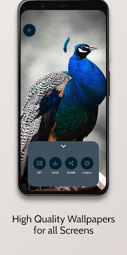 Wallpaper.io Screenshot 3 - AppWisp.com