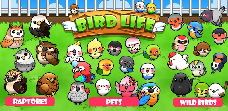 Bird Life  -Жизнь птиц-