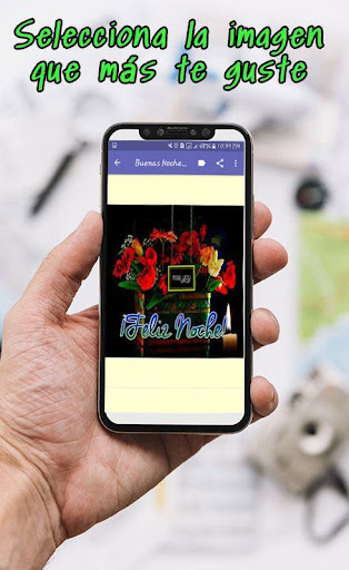 Saludos de Buenas Noches con Flores