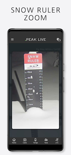 Whistler Peak Live Screen 3