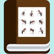 Types of ant species
