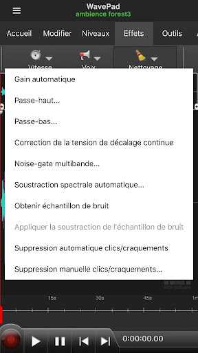 WavePad Professionnel Screen 3