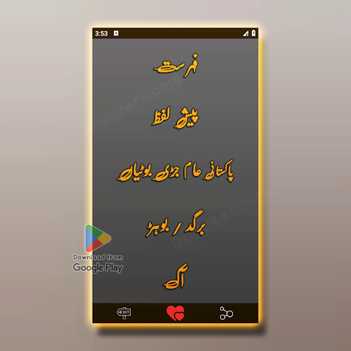 Hakeem Luqman Nuskhay Book Screen 2