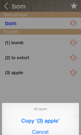 Vietnamese English Dictionary Screen 3