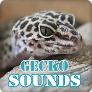 Gecko Sounds Ringtone Collection