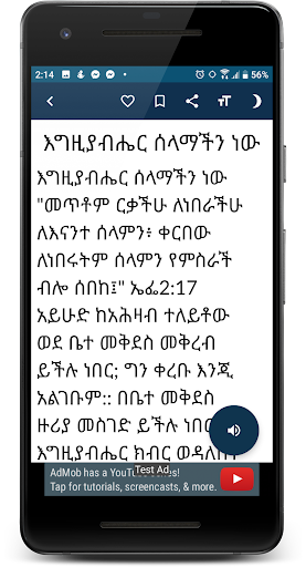 Wdase Mariam - Ethiopian Ortho Screen 3