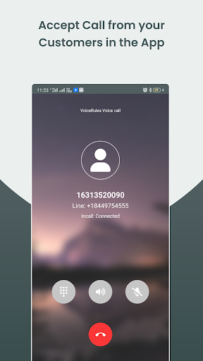 Business Virtual Phone Number Screen 2