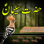 Top 35 Books & Reference Apps Like Hazrat Suleman Ka Qissa : Hazrat Suleman A.S Story - Best Alternatives