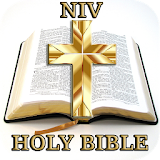 NIV Bible New Audio icon