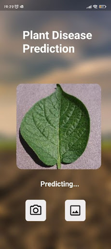 Plant Disease Detector Screen 2