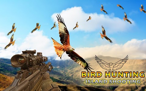 Birds Hunting Challenge Game Unknown