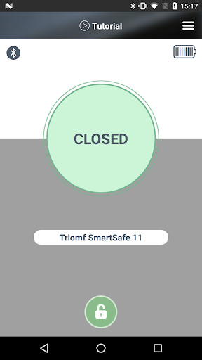 Triomf Smart Safe Screen 2
