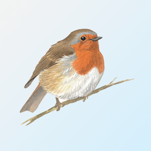 eGuide to British Birds 1.4.0 Icon